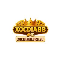 XOCDIA88 1