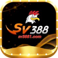 sv3881com1