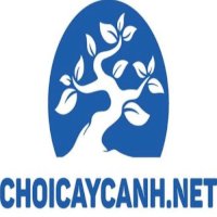 choicaycanhnet1