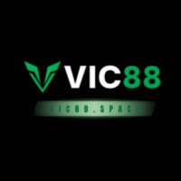 vic88space