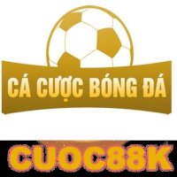 cacuocbongdainfo1