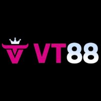 vt88cam
