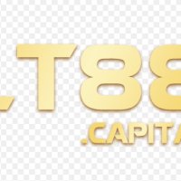 lt88capital