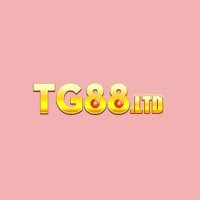 tg88ltd