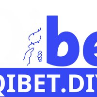 qibetdiync