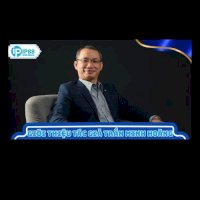 ceotranminhhoangip88