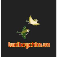 luoibaychimvn