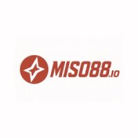 miso88io1